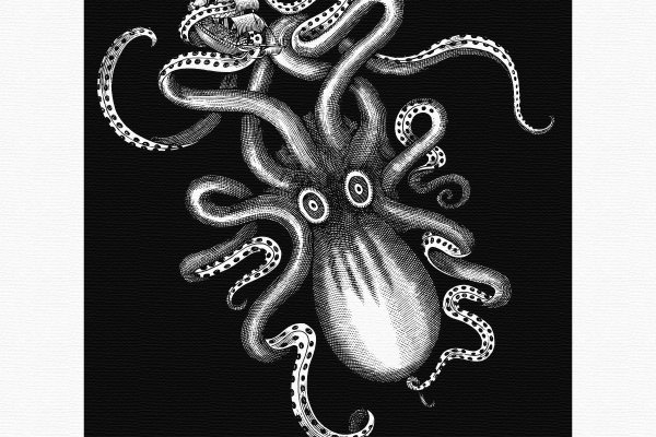 Kraken маркетплейс