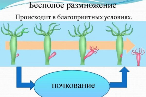 Как зайти на площадку кракен