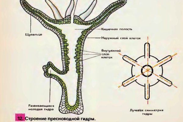 Кракен ссылка стор