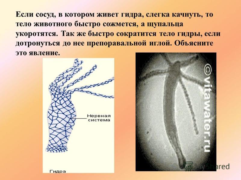 Кракен вывод средств